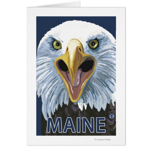 MaineEagle Up Close Cards (Front)