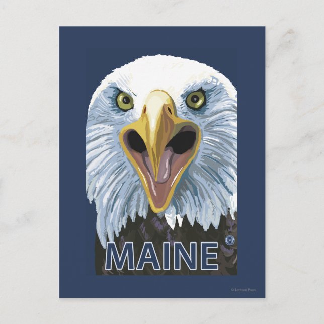 MaineEagle Up Close Postcard (Front)