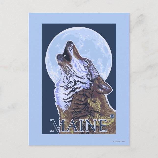 MaineHowling Wolf Postcard (Front)