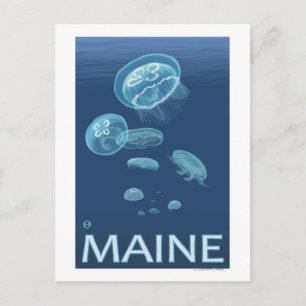 MaineJellyfish Scene Postcard