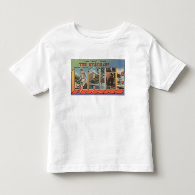 MaineLarge Letter Scenes Toddler T-shirt (Front)