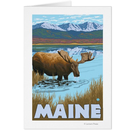 MaineMoose Drinking in Lake Cards (Front)