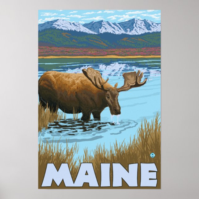 MaineMoose Drinking in Lake Poster (Front)