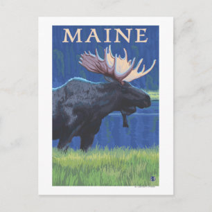MaineMoose in the Moonlight Postcard