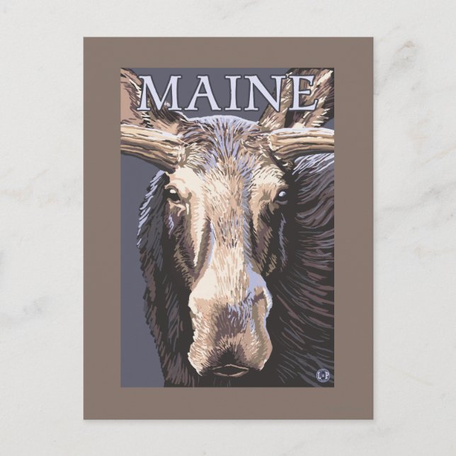 MaineMoose Up Close Postcard (Front)