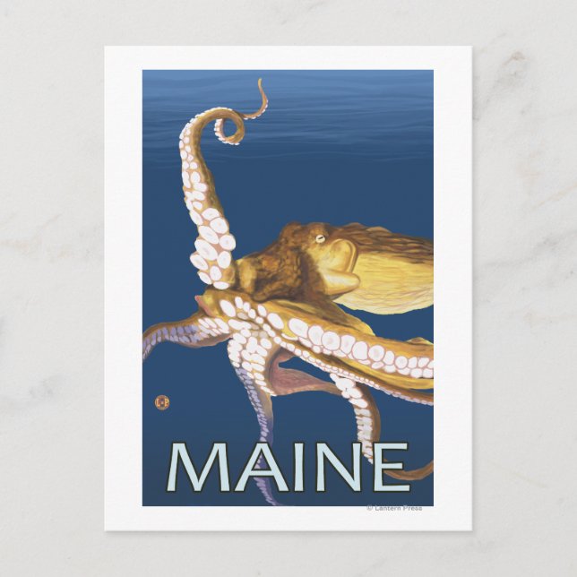 MaineOctopus Scene Postcard (Front)
