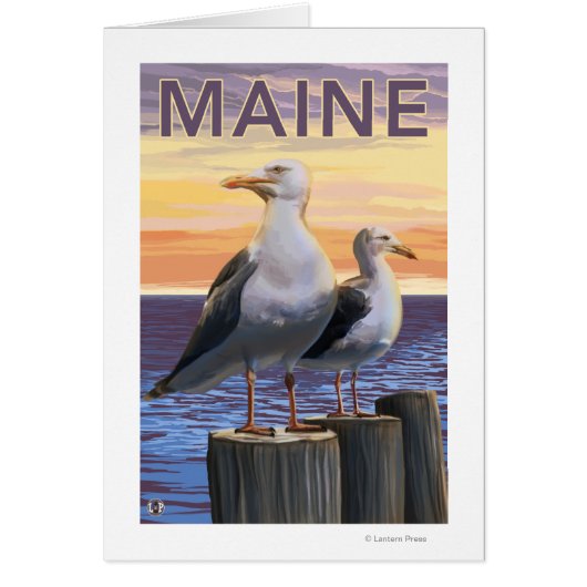 MaineSea Gulls Scene (Front)