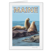 MaineSea Lions Scene (Front)