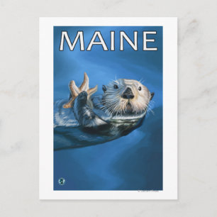 MaineSea Otter Scene Postcard