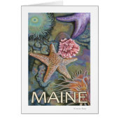 MaineTidepool Scene (Front)