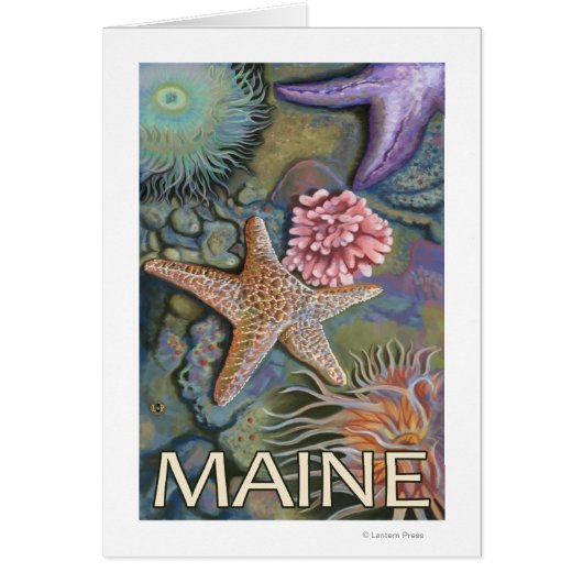 MaineTidepool Scene (Front)