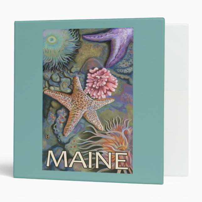 MaineTidepool Scene 3 Ring Binder (Front/Inside)