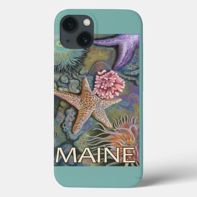 MaineTidepool Scene Case-Mate iPhone Case (Back)