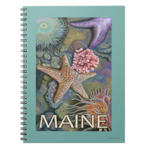 MaineTidepool Scene Notebook