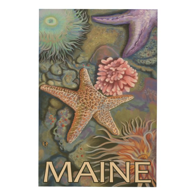 MaineTidepool Scene Wood Wall Decor (Front)