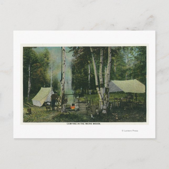 MaineView of a Campground in the Maine Woods Postcard (Front)