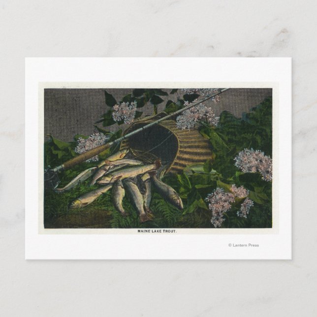 MaineView of a Nice Catch of Maine Lake Trout Postcard (Front)