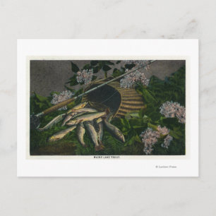 MaineView of a Nice Catch of Maine Lake Trout Postcard