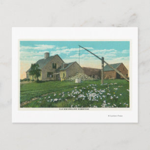MaineView of an Old New England Homestead Postcard