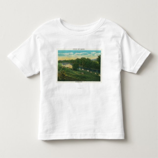 MaineView of Cows Homeward Bound Toddler T-shirt (Front)