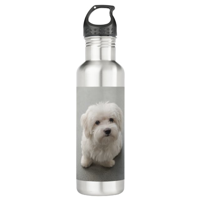 Maisie Coton de Tulear Puppy Stainless Steel Water Bottle (Front)