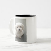 Maisie Coton de Tulear Puppy Two-Tone Coffee Mug (Front Left)