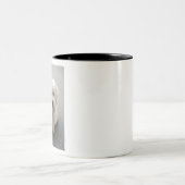 Maisie Coton de Tulear Puppy Two-Tone Coffee Mug (Center)