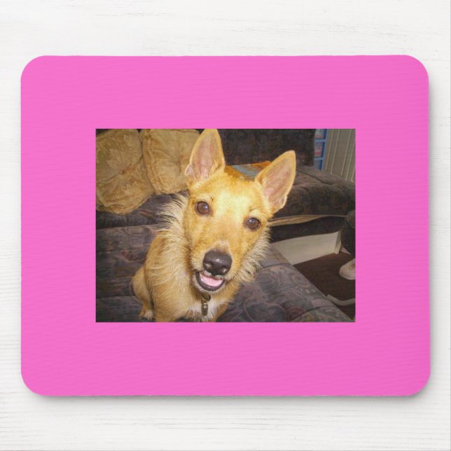 'Maisie' The Jack Russell Mouse Pad (Front)