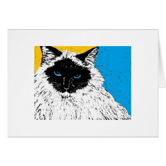 maisie the ragdoll cat cards