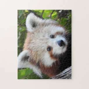 Maiya The Red Panda Jigsaw Puzzle