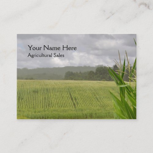 Maize plants in a farm landscape business card