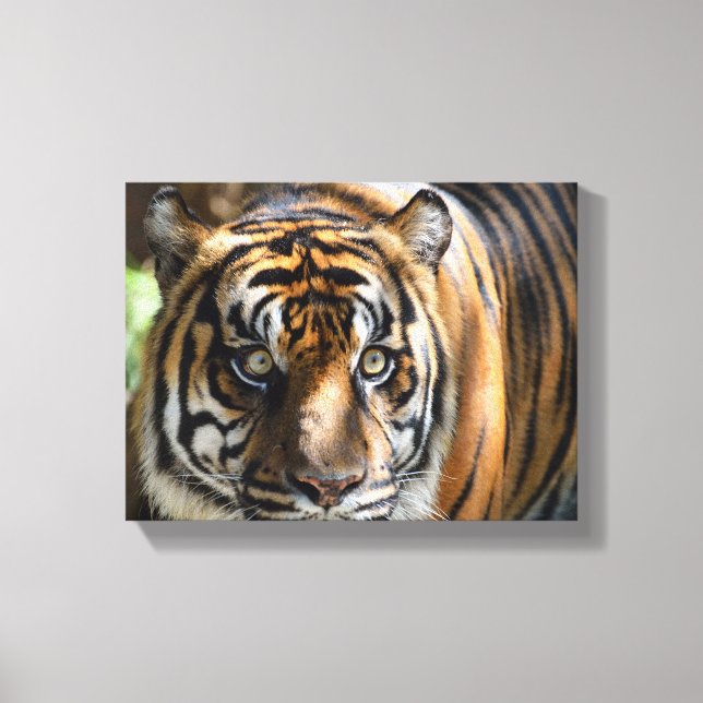 majest tiger face canvas print (Front)