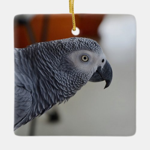 Majestic African Gray Parrot Ceramic Ornament