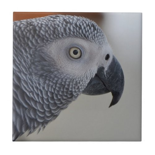 Majestic African Grey Parrot Ceramic Tile