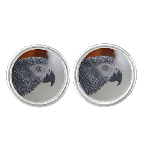 Majestic African Grey Parrot Cufflinks