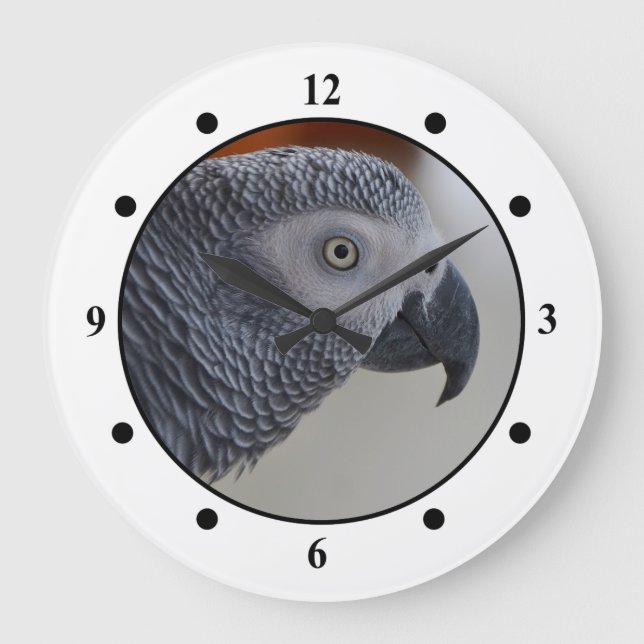 Majestic African Grey Parrot Large Clock (Front)