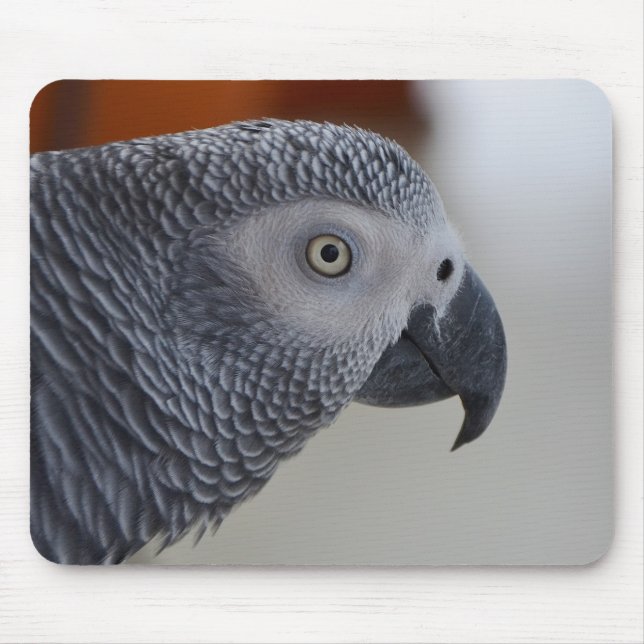 Majestic African Grey Parrot Mouse Pad (Front)