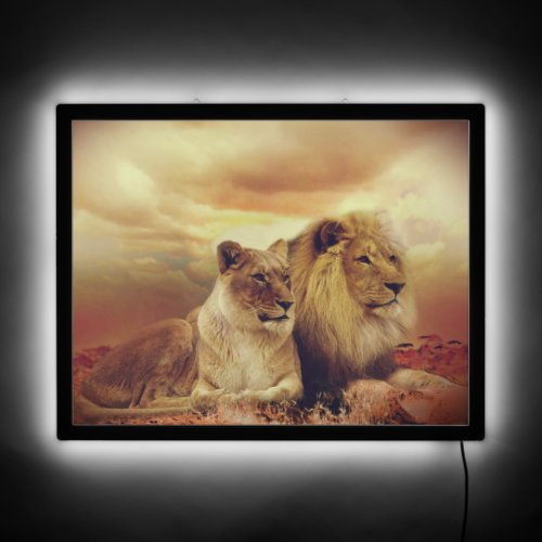 Majestic African Lion And Lioness  LED Sign