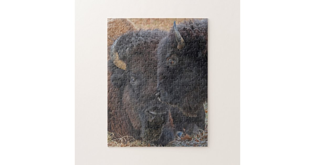Majestic American Bison Bonded Pair Jigsaw Puzzle | Zazzle