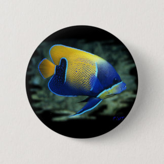 Majestic Angel Fish Pinback Button