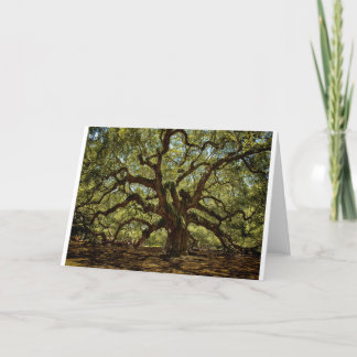 Majestic Angel Oak Card