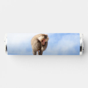 Majestic Baboon on Mountain Peak Breath Savers® Mints