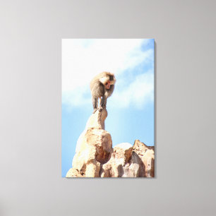 Majestic Baboon on Mountain Peak Canvas Print