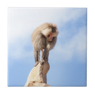 Majestic Baboon on Mountain Peak Ceramic Tile