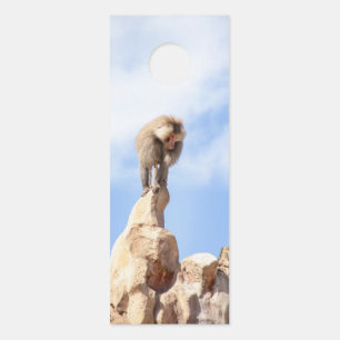Majestic Baboon on Mountain Peak Door Hanger