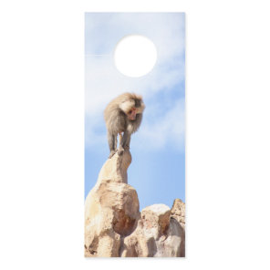 Majestic Baboon on Mountain Peak Door Hanger