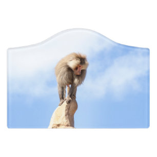Majestic Baboon on Mountain Peak Door Sign