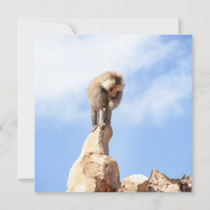 Majestic Baboon on Mountain Peak Holiday Card