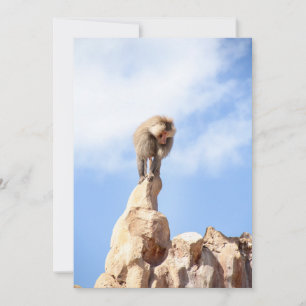 Majestic Baboon on Mountain Peak Holiday Card