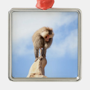Majestic Baboon on Mountain Peak Metal Ornament
